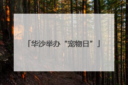 华沙举办“宠物日”